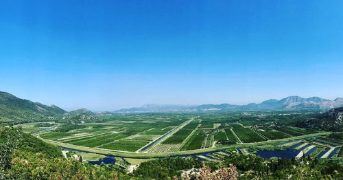 Scenic view of agricultural field against clear blue sky