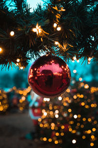 Close-up of illuminated christmas tree at night