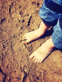 Low section of child on sand