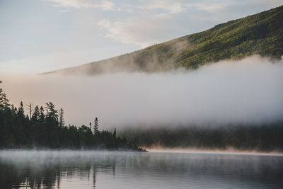 Scenic view of lake by trees against sky