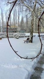 Bare trees in snow covered landscape