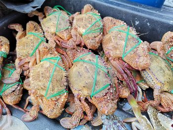 High angle view of vegetables for sale at market