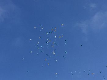 Low angle view of birds flying in sky