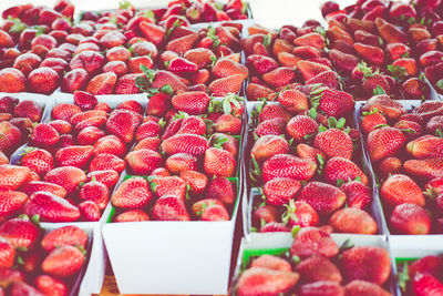 High angle view of strawberries in market stall