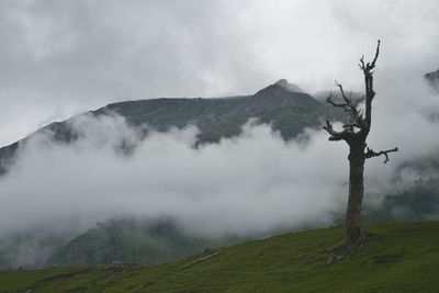 Scenic view of tree mountains against sky