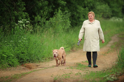 Full length of a dog walking in a forest