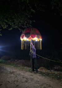 Rear view of person standing on illuminated land