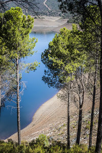 Scenic view of lake in forest during autumn