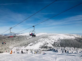 Ski lift over forest of evergreen trees covered in snow on a day with clear blue sky