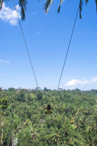 Woman swinging on swing over trees against sky