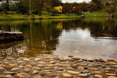 Reflection of trees in lake