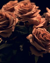 Close-up of rose bouquet