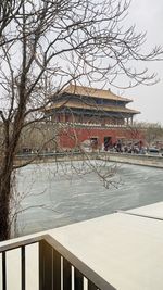 Bare trees by building against sky in city