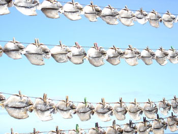 Low angle view of umbrellas hanging against blue sky