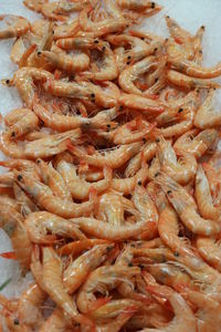 Full frame shot of seafood