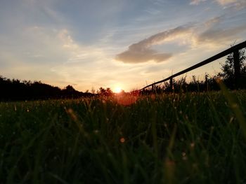 Scenic view of field against sky during sunset