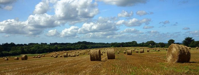 Scenic view of field against cloudy sky
