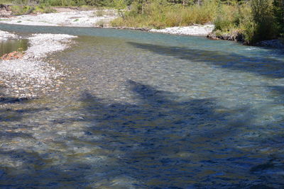 Surface level of river