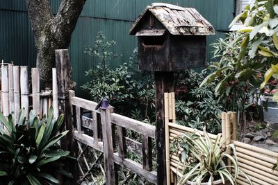 Abandoned house against plants and trees in yard