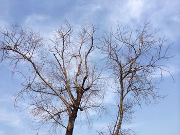 Low angle view of bare tree against cloudy sky