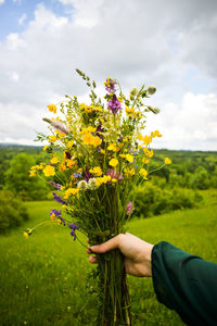 Man holding yellow flowering plant on field