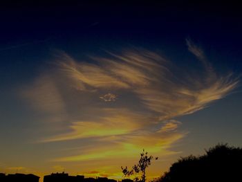 Silhouette of trees against sky at sunset