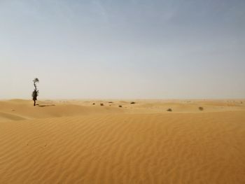 Scenic view of desert against clear sky