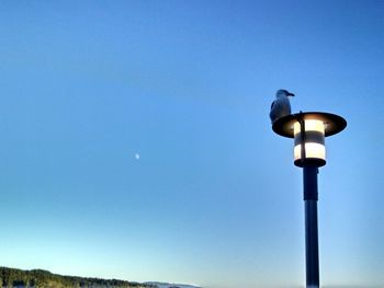 Low angle view of illuminated street light against clear blue sky