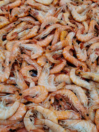 Full frame shot of shrimps for sale in market