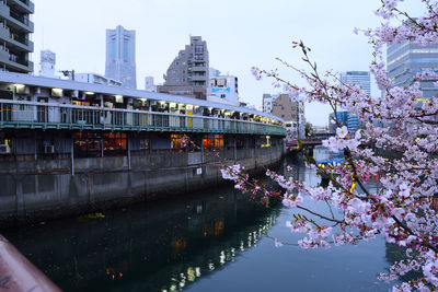 Modern buildings in city