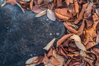 High angle view of dry leaves on field