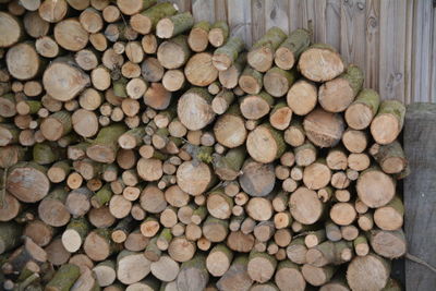 Close-up of logs