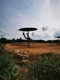 Scenic view of field against sky