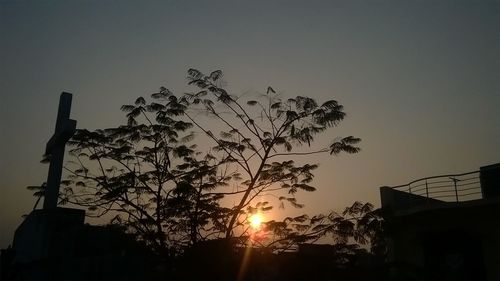 Silhouette tree against sky during sunset