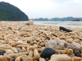 Surface level of sandy beach