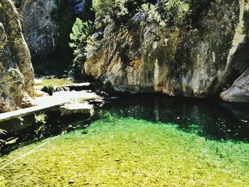 Scenic view of river