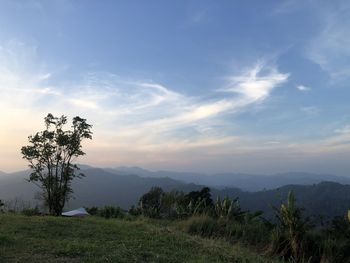 Scenic view of field against sky during sunset