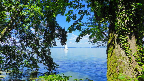 Scenic view of lake against blue sky