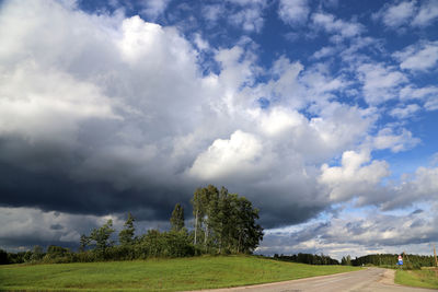 Trees on field against sky