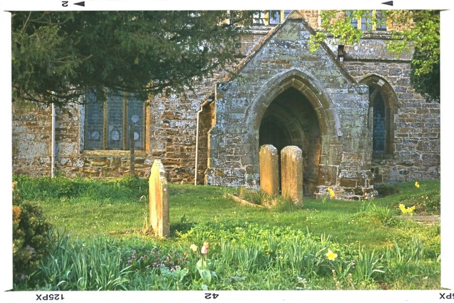 architecture, built structure, transfer print, building exterior, arch, old, auto post production filter, history, plant, grass, abandoned, tree, stone wall, the past, growth, old ruin, day, no people, outdoors, damaged