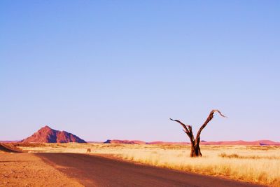 Scenic view of desert against clear blue sky