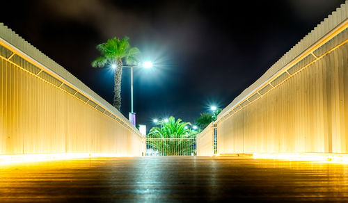 Pedestrian walkway with palm tree and lighting poles in night, malta airport