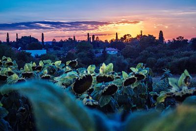 Scenic view of land against sky at sunset