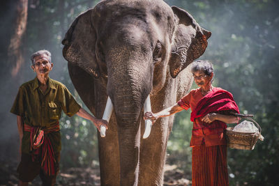 Full length of man standing by elephant