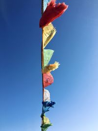 Tibetan prayer flag in the blue sky 
