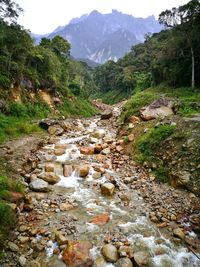 Stream flowing through rocks in mountains