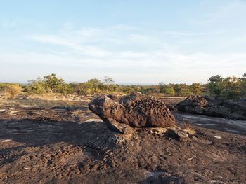 Rocks on land against sky