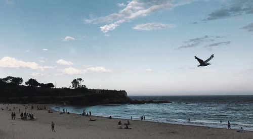 Seagulls flying over beach against sky