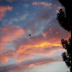 Silhouette of trees against cloudy sky