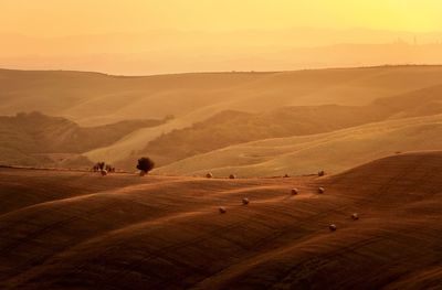 Scenic view of landscape against sky during sunset